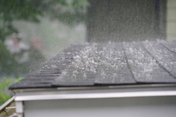 Best Roof Ventilation Installation  in , WA